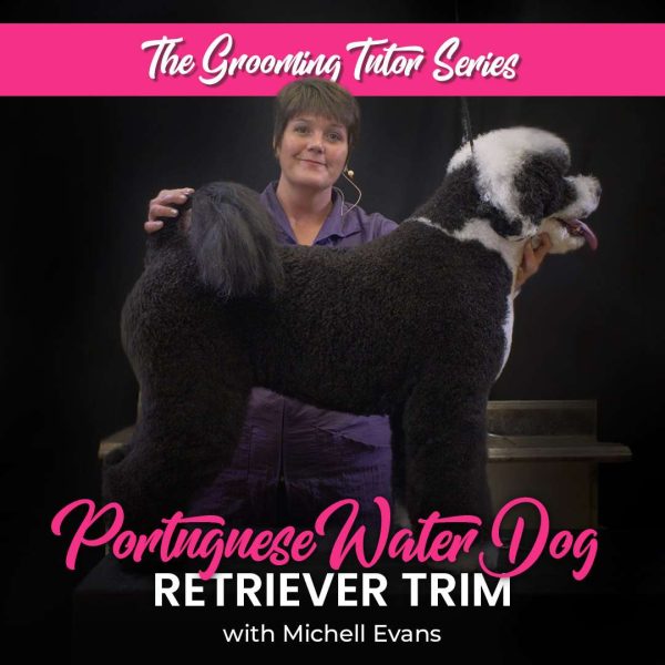 PWD Retriever Trim Dog Grooming Course