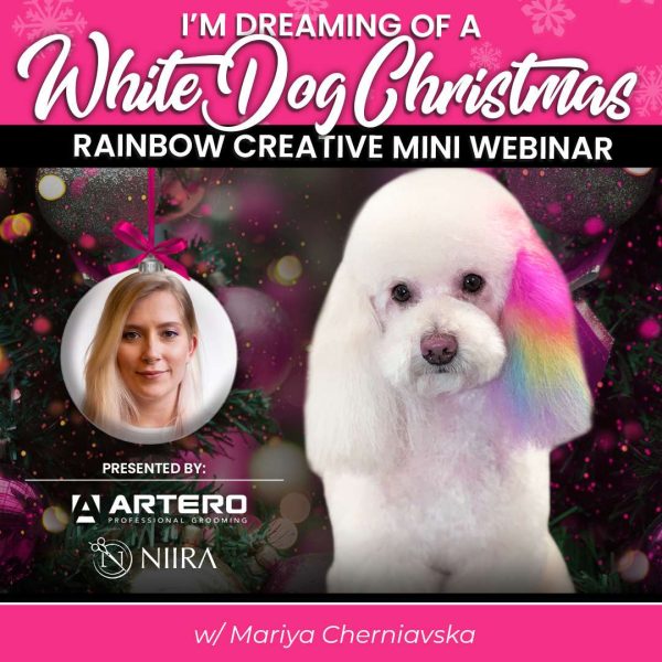 Rainbow Ear Creative Dog Grooming Webinar