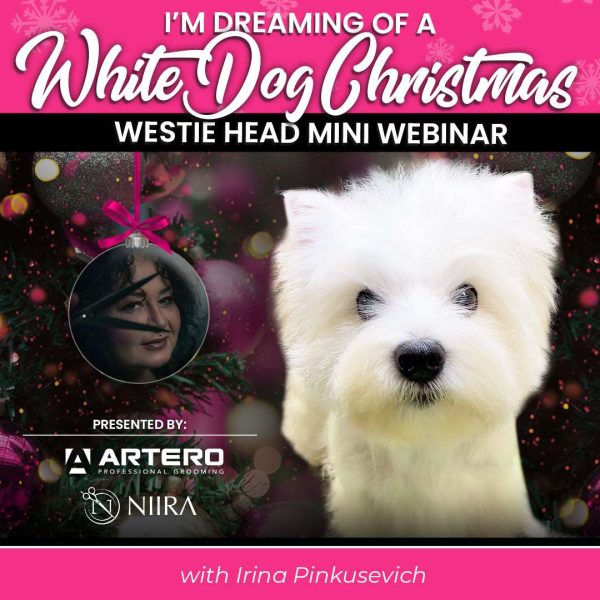 Westie Head Dog Grooming Webinar