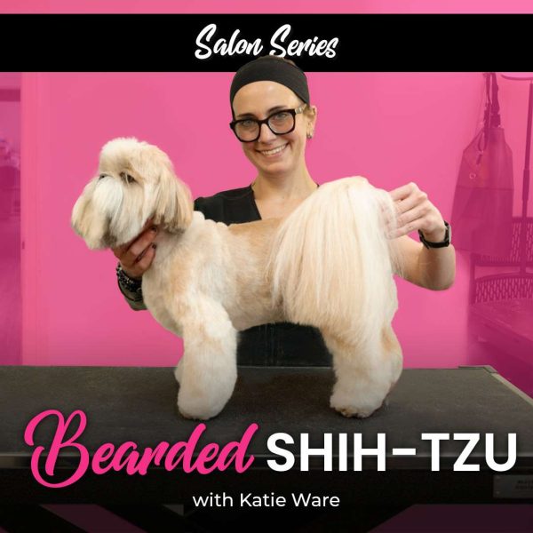 Bearded Shih-tzu Dog Grooming Course