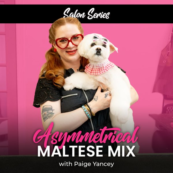 Asymmetrical Maltese Mix Dog Grooming Course