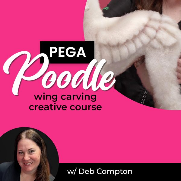 PegaPoodle Creative Grooming Course