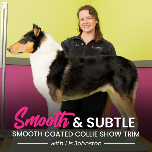 Smooth & Subtle Collie Grooming Course