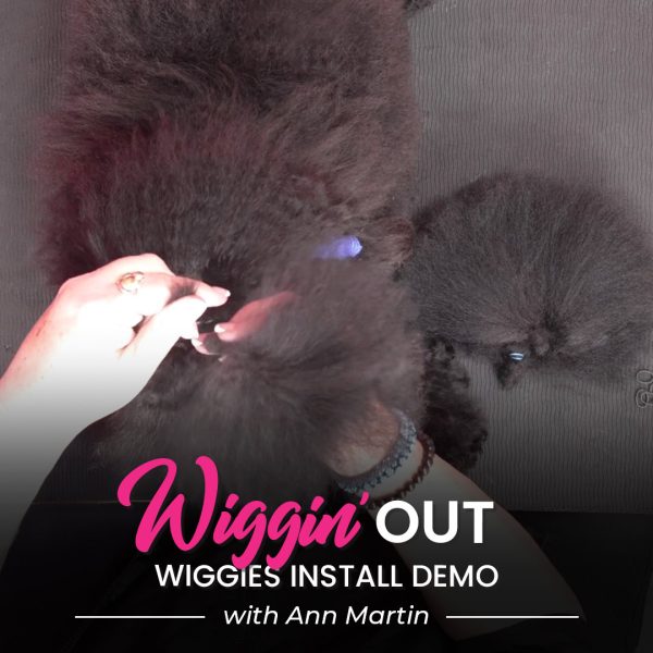 Wiggin' Out Wiggies Install Demo