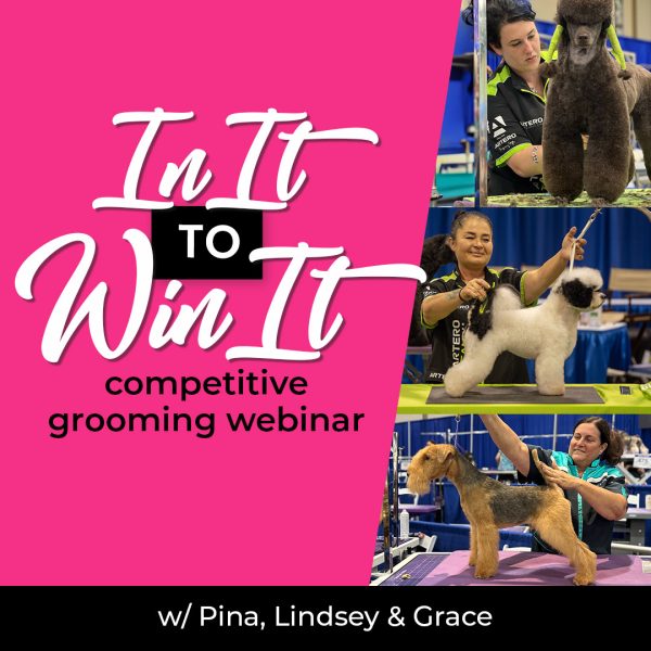 In It to Win It Competitive Grooming Webinar