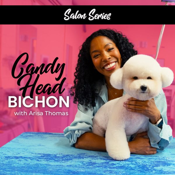Candy Head Bichon Grooming Course