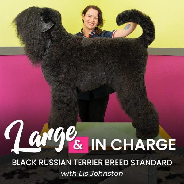 Large & In Charge Black Russian Grooming Course