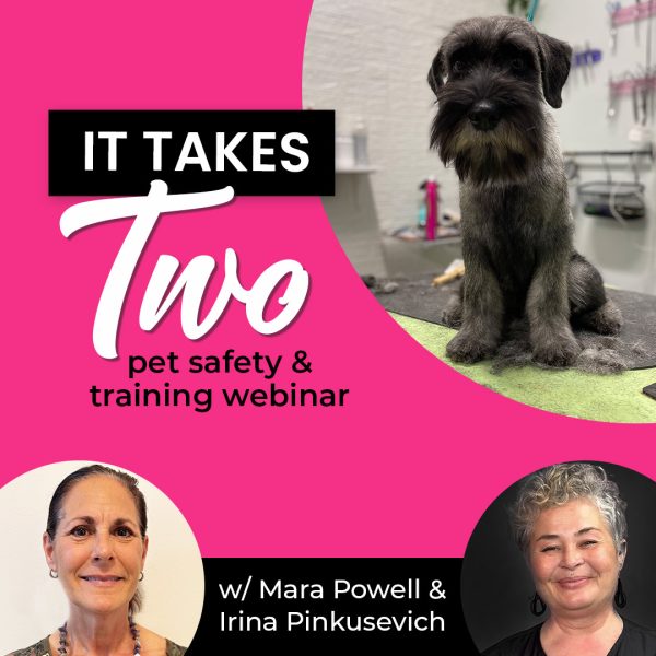 It Takes Two Pet Training Webinar