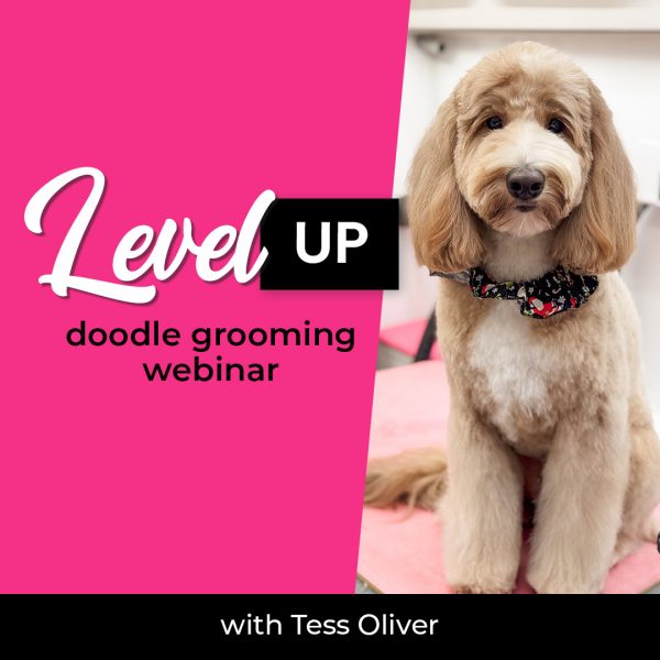 Level Up Doodle Grooming Webinar
