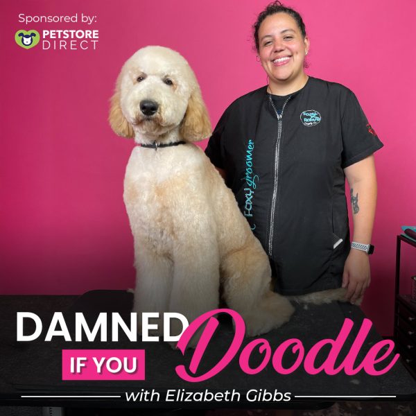 Damned If You Doodle Dog Grooming Webinar