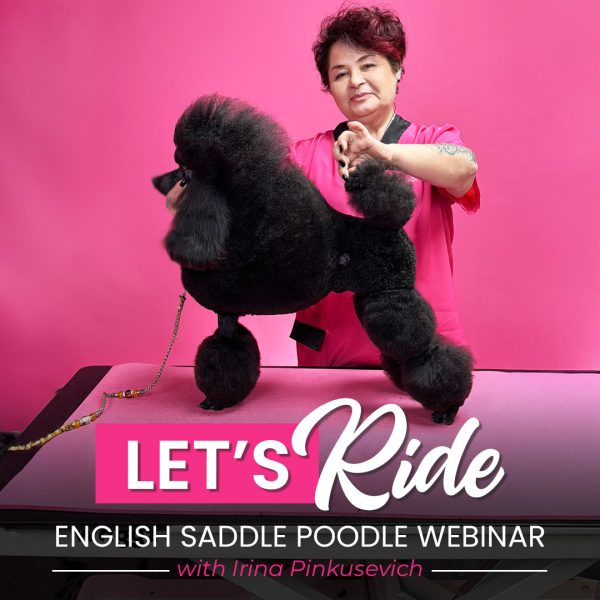 Let's Ride Poodle Grooming Webinar