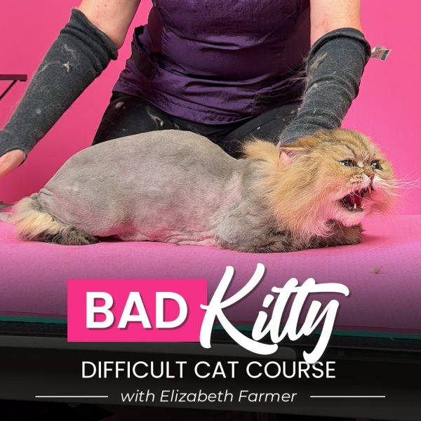 Bad Kitty Difficult Cat Grooming Course
