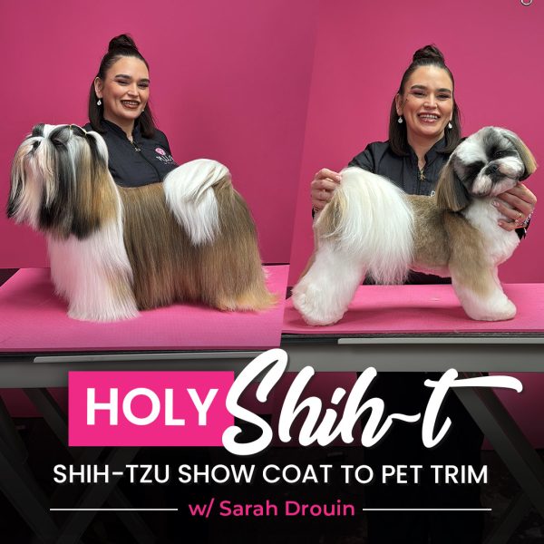 Holy Shih-t Dog Grooming Course