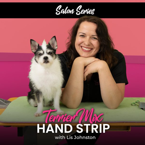 Terrier Mix Hand Strip Dog Grooming Course