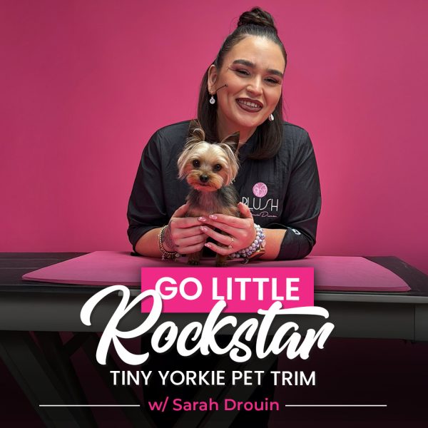 Go Little Rockstar Yorkie Pet Trim Course