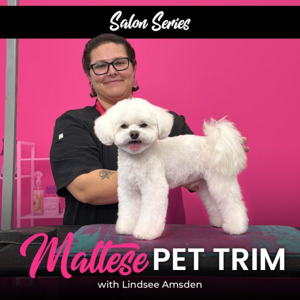 Maltese Pet Trim Dog Grooming Course