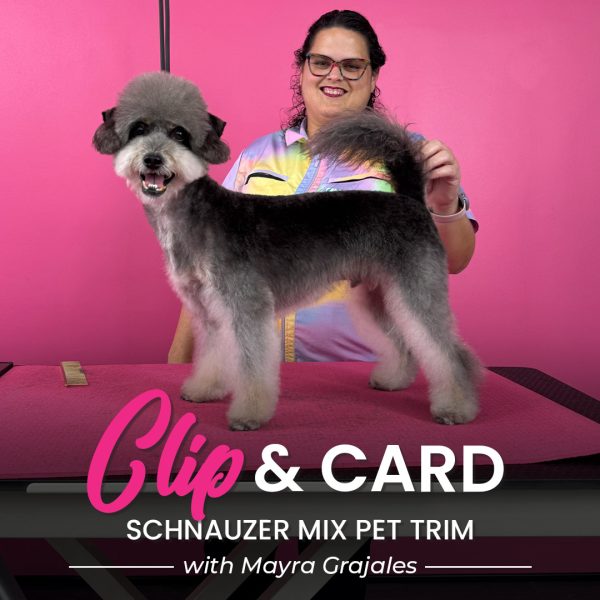 Clip & Card Dog Grooming Webinar
