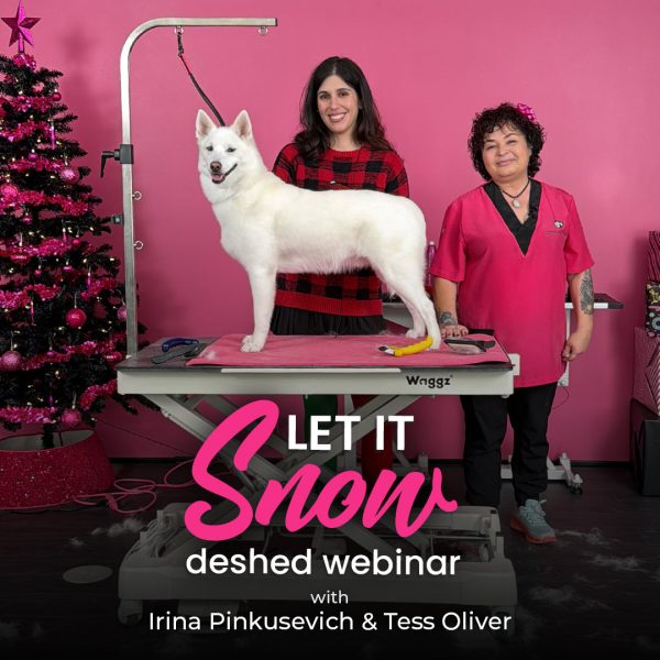 Let It Snow Deshed Webinar