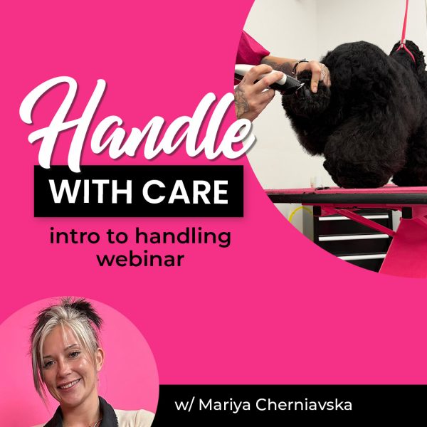 Handle with Care Dog Handling Webinar