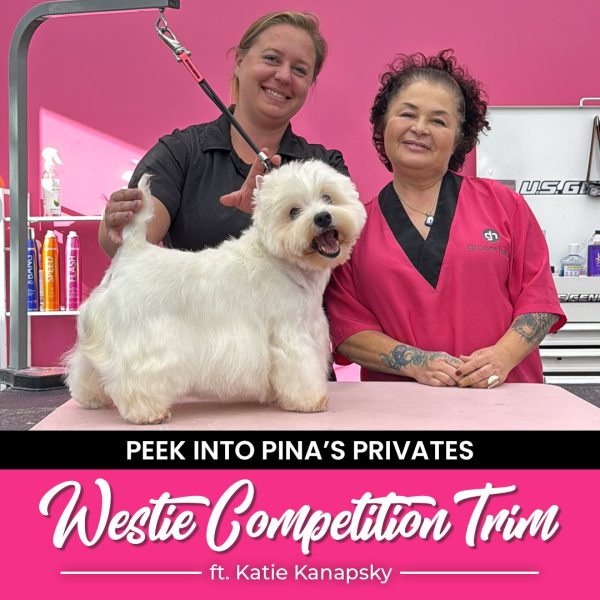 Westie Competition Trim Grooming Course