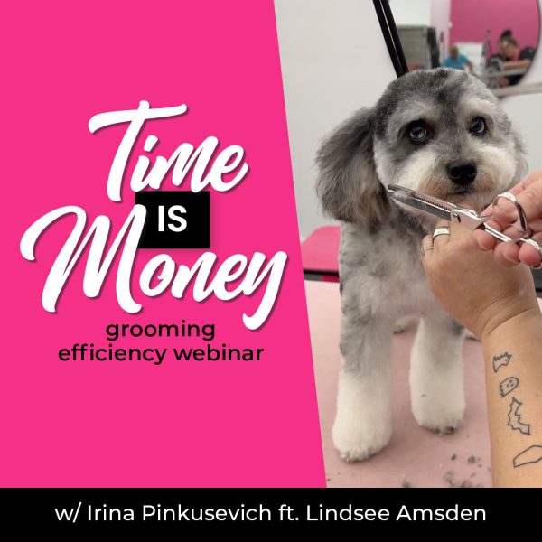 Time is Money Dog Grooming Webinar