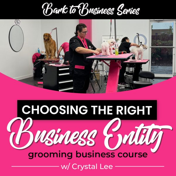 Choosing the Right Business Entity dog grooming business course