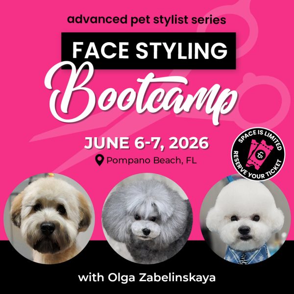 Advanced Pet Stylist Bootcamp: Face Styling